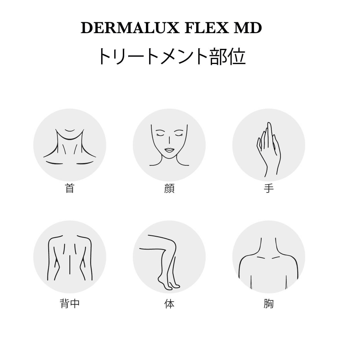 Dermalux フレックス MD | カレントボディ ジャパン