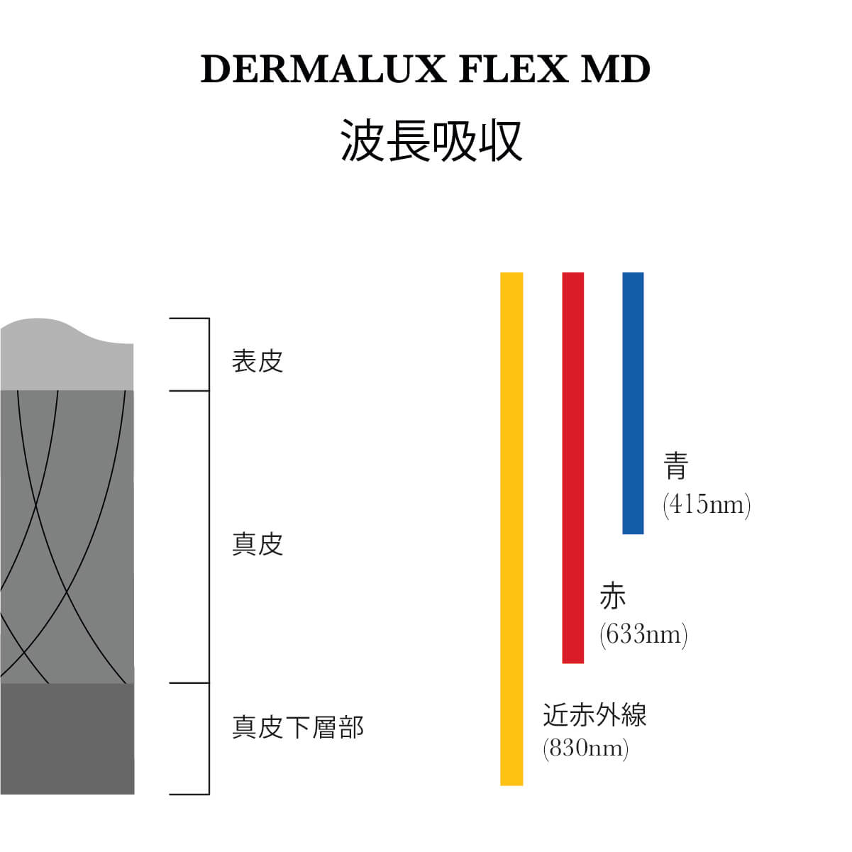 Dermalux フレックス MD